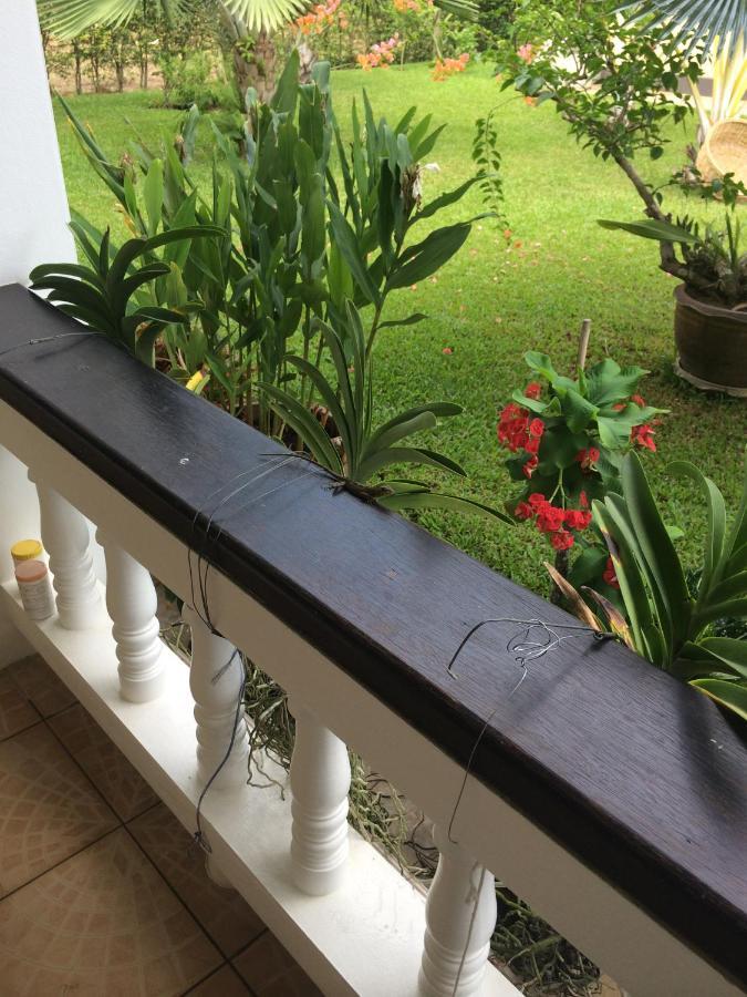 Palm Gardens Resort, Bang Saphan Zewnętrze zdjęcie
